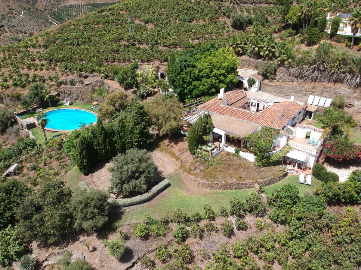 La Casa Del Burro Bed & Breakfast Нерха Екстериор снимка
