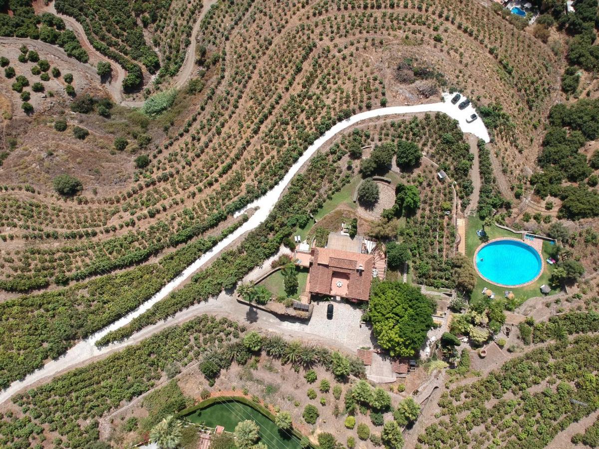 La Casa Del Burro Bed & Breakfast Нерха Екстериор снимка
