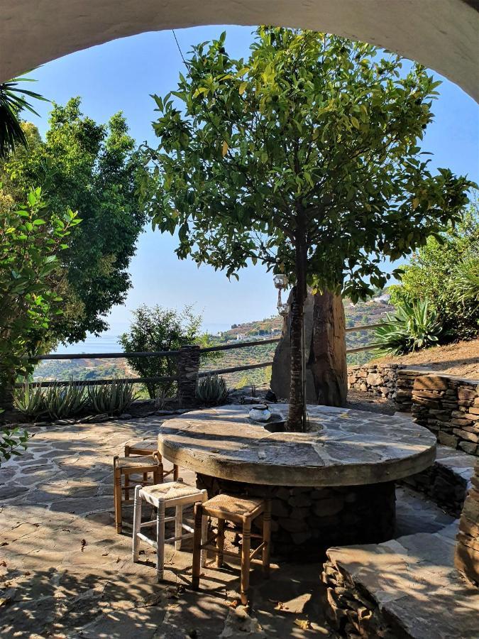 La Casa Del Burro Bed & Breakfast Нерха Екстериор снимка
