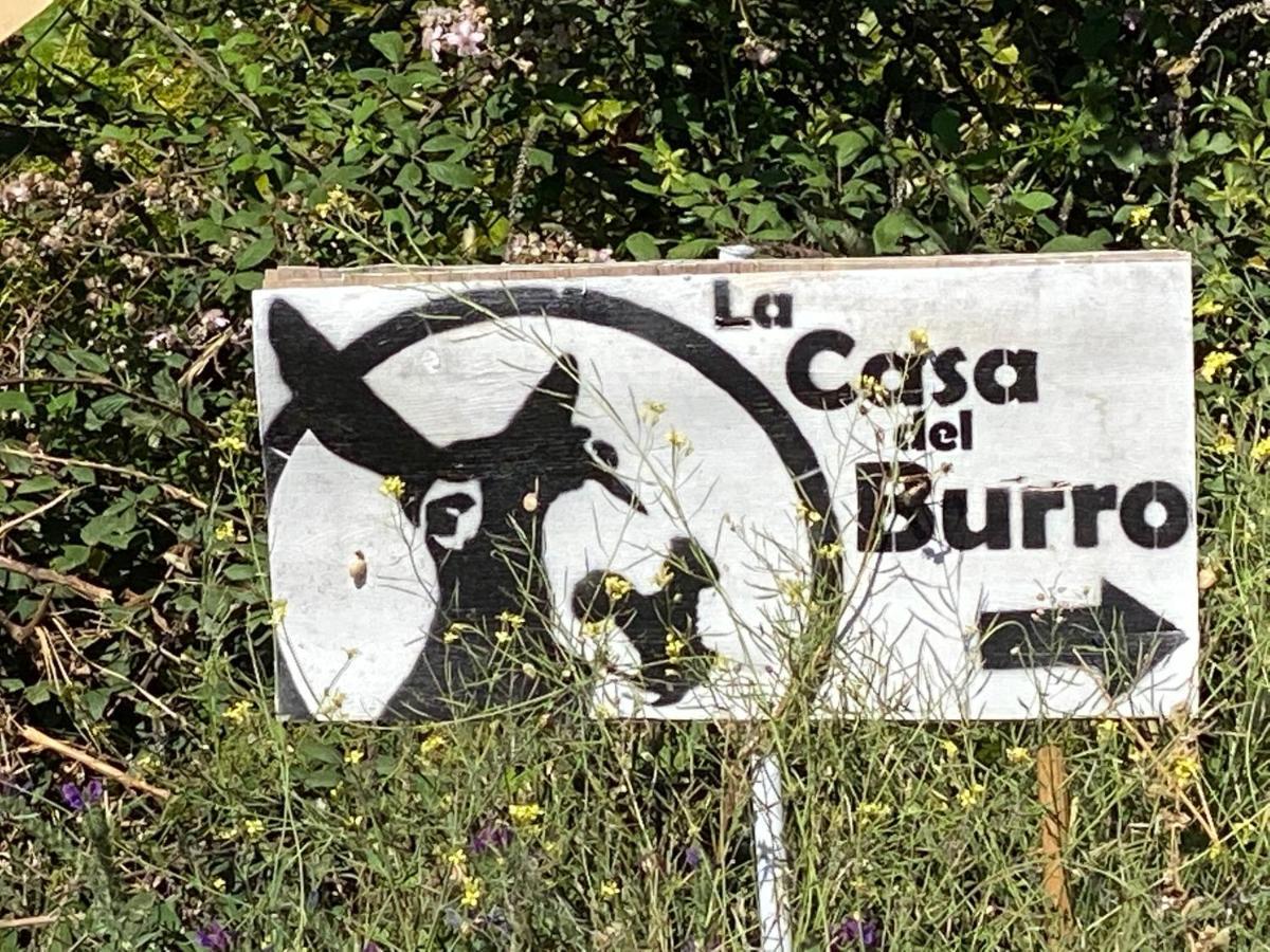 La Casa Del Burro Bed & Breakfast Нерха Екстериор снимка