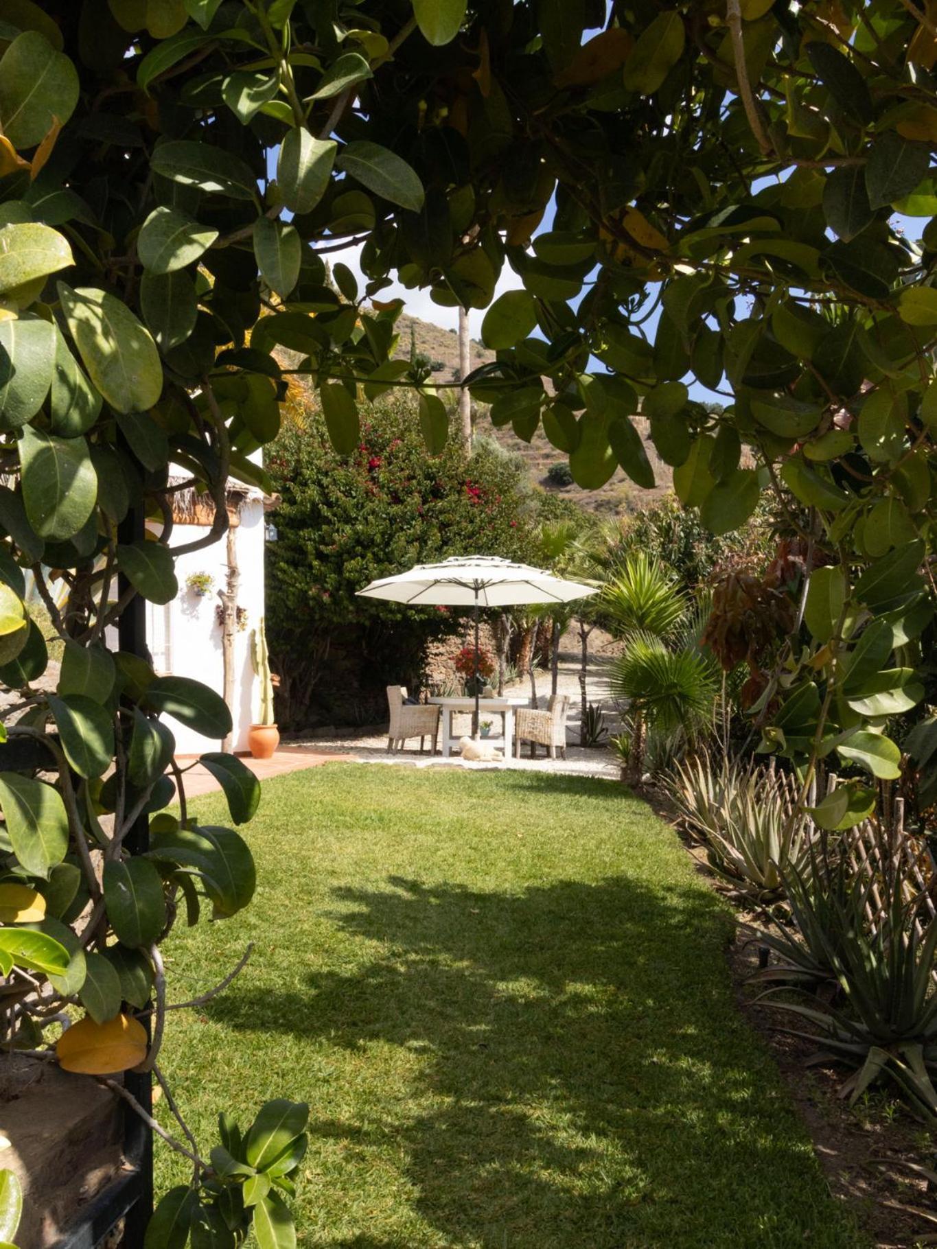 La Casa Del Burro Bed & Breakfast Нерха Екстериор снимка