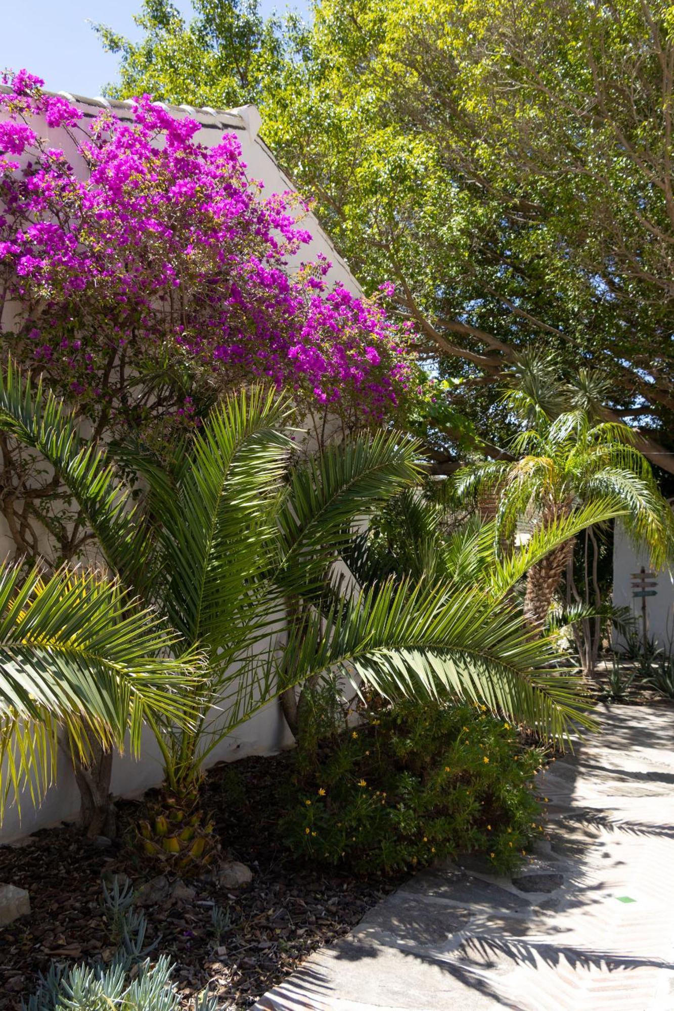 La Casa Del Burro Bed & Breakfast Нерха Екстериор снимка